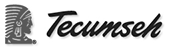 Beebe Tecumseh Logo